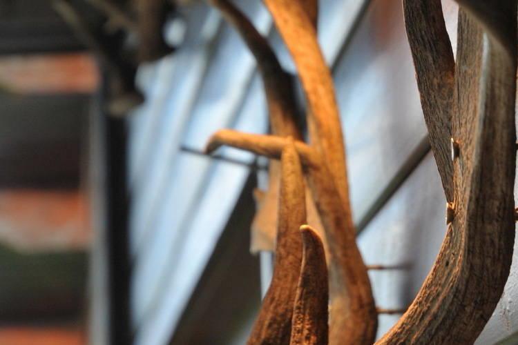 Arbre Dresse Villa Somme-Leuze Kamer foto